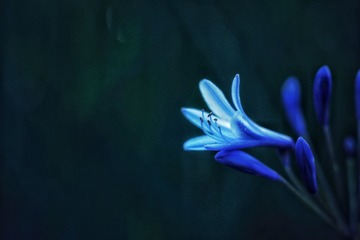 FD0D43FF-81A7-42D1-96C0-491F01BE374E/L0/001