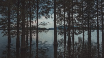 1602360
