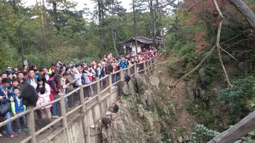 636324