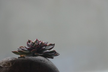 615726