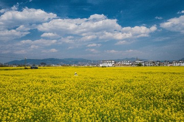 DJI_0979