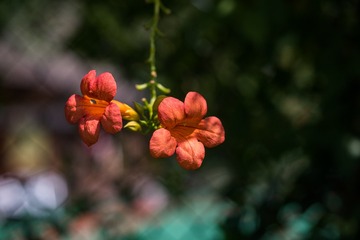 140607