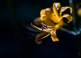 142082