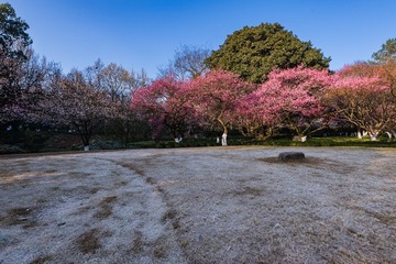 166083