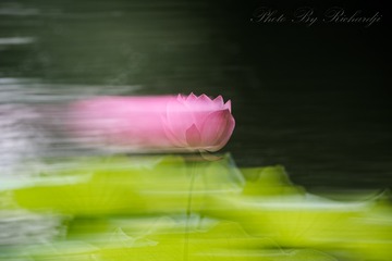 14102