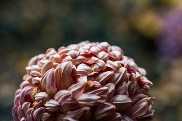 156436