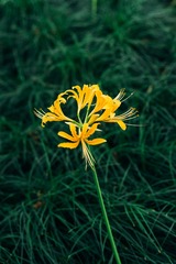 140533