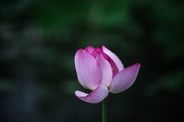 137151