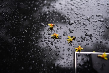 140538