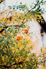 0EB5C149-F293-4C30-909E-5EE39C3B0484/L0/001
