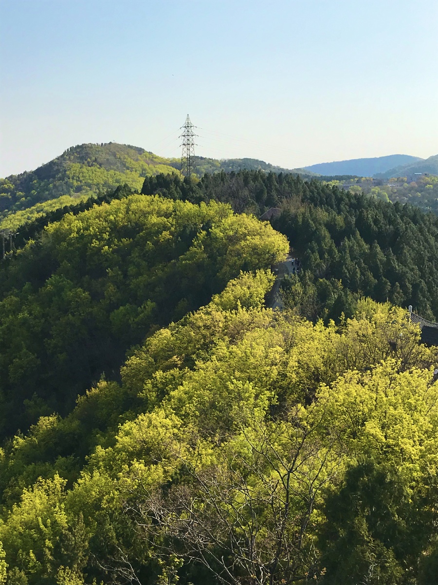 北京百望山森林公园