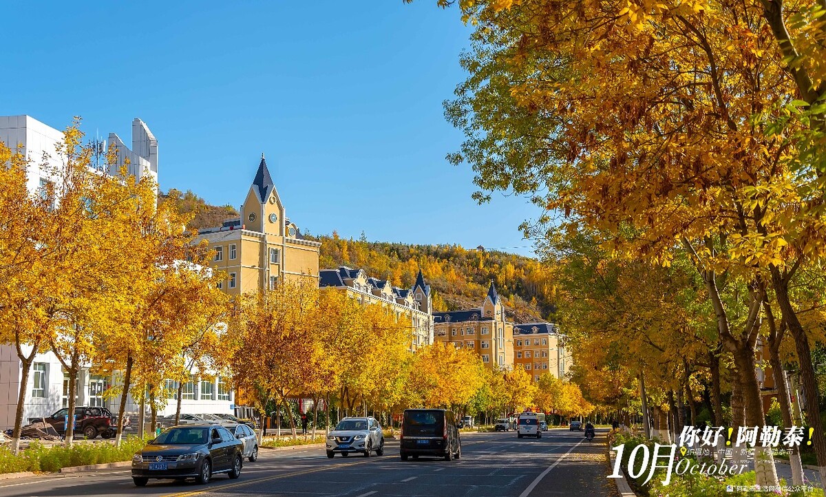 加拿大重点大学有哪些学校,加拿大不同季节推荐四所大学