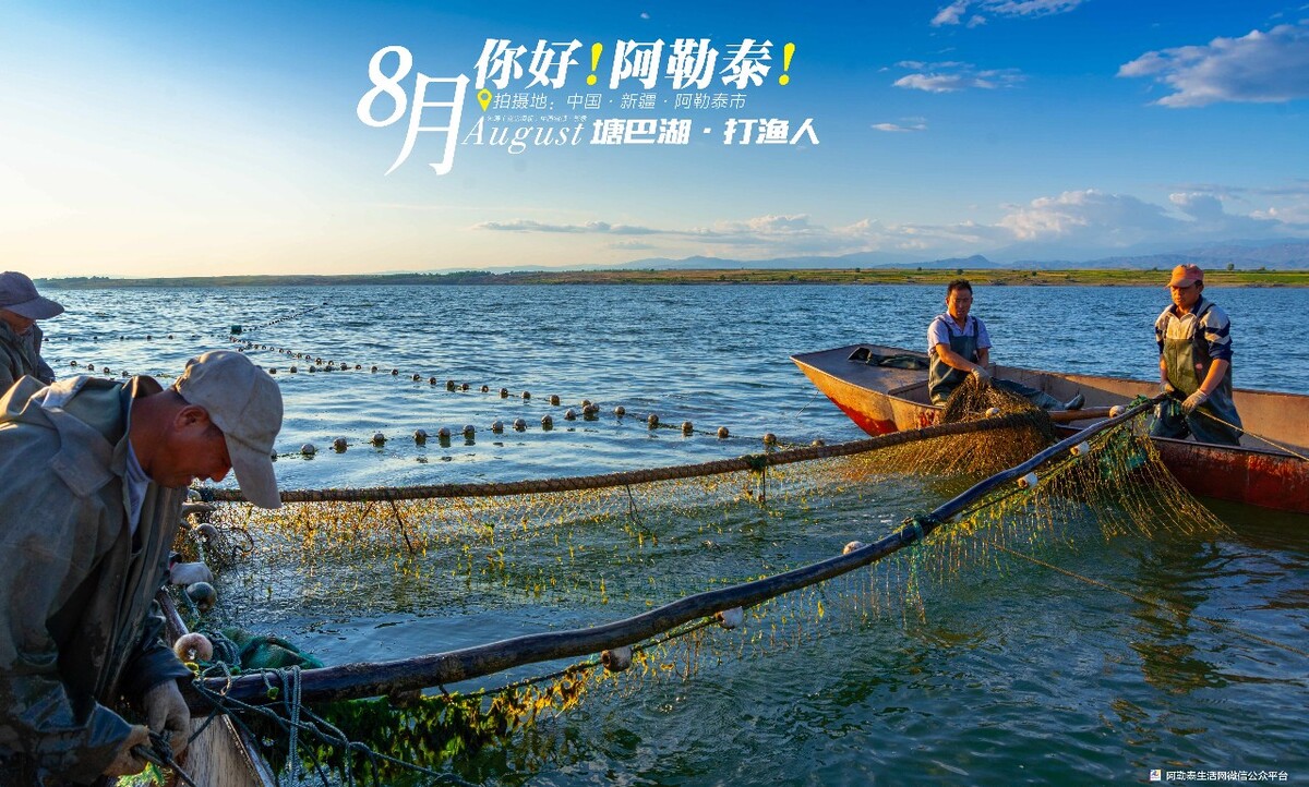 贵州淡水虾苗养殖基地