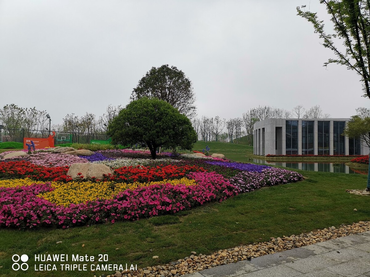 苏州绿化设计,苏州garden设计医院有限公司七大优势