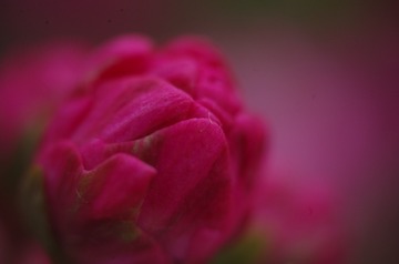 9F26313A-D2DE-46F3-93EA-38C2453573F5/L0/001