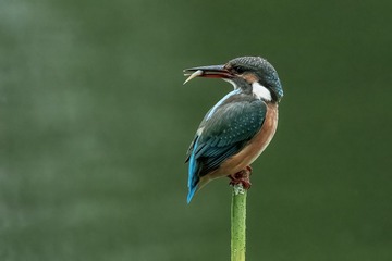 17167