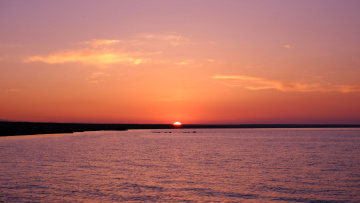 DSCF6968