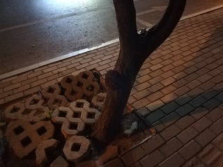 116829