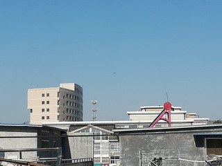 116804