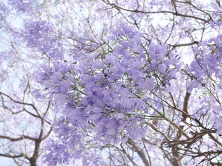 3B827C2E-D471-43D1-ACCD-A3919A01027E/L0/001
