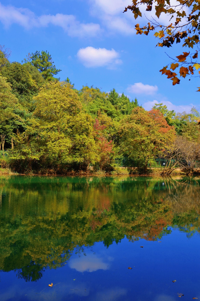 贵阳花溪秋意浓