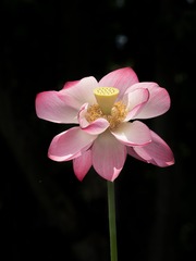 P7140255