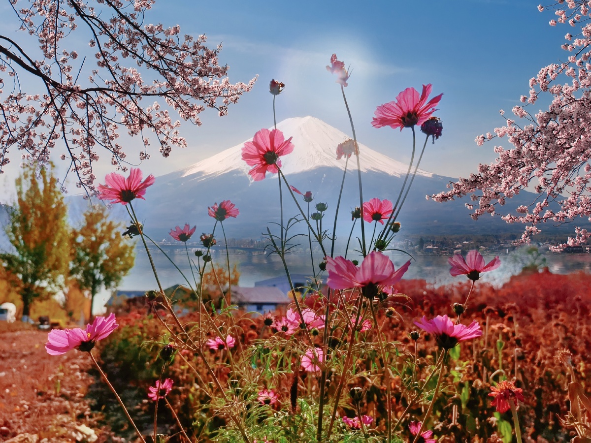 顾城北忘 - 图虫