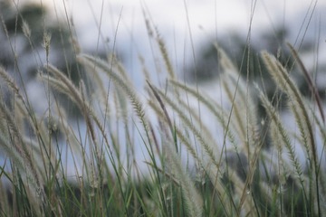 2A658329-5A89-49AB-87DA-04D4E0A16E73/L0/001