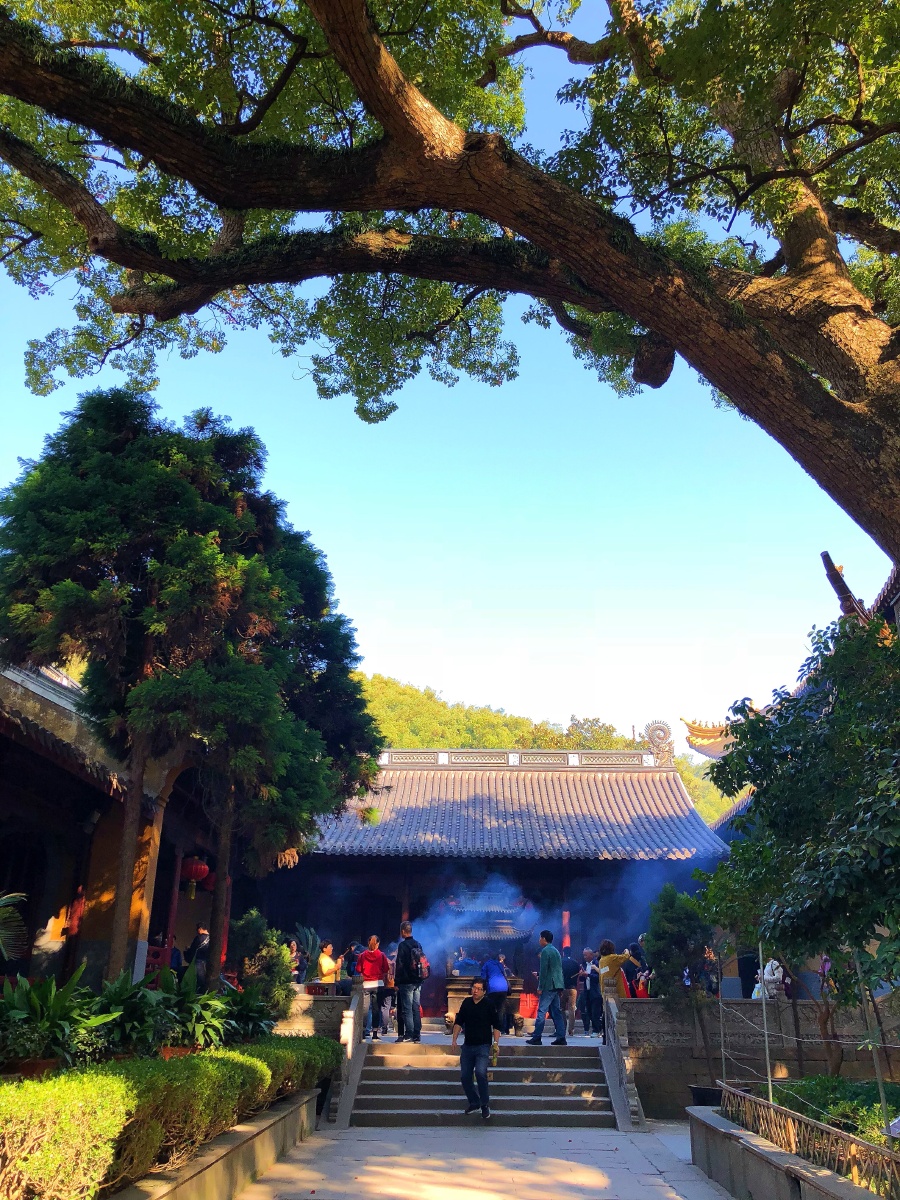 普陀山普济寺05