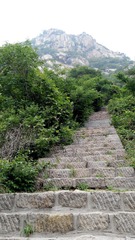 907677