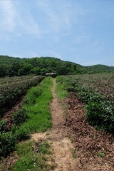 907647