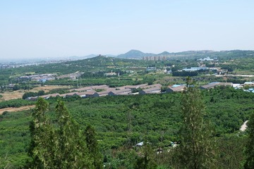 1507686