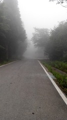 907561
