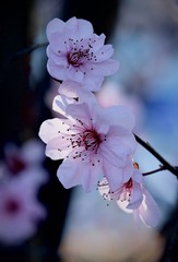 3D1CF800-A741-4582-94CB-BACD4C6445F3/L0/001