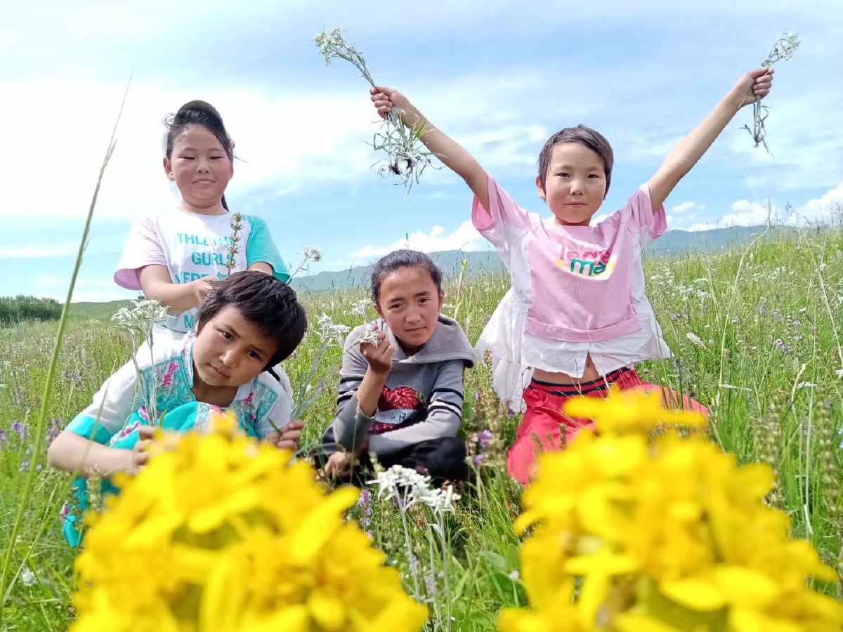 昭苏灯塔牧场和一群孩子们的快乐时光