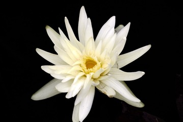 170056
