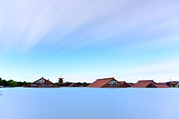 559593