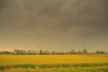 616598