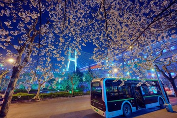1604014