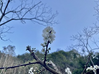 06189D85-9C1E-4BCE-8CB2-3D3E4456131C/L0/001