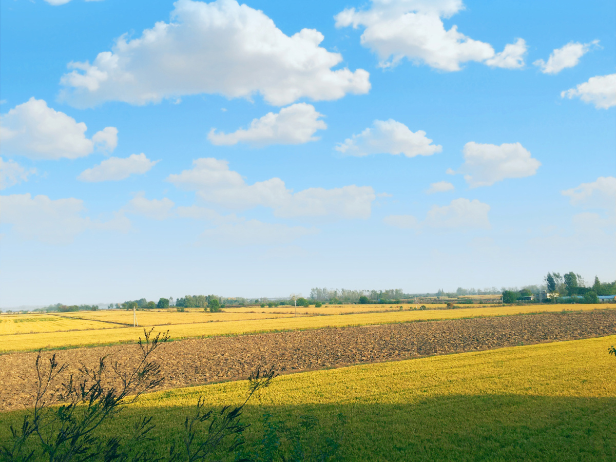 家乡才是最美的风景.