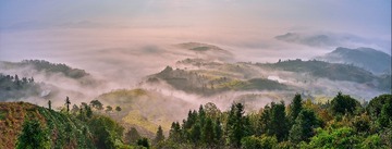 茗岙云海
