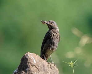 7507