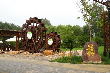 120462