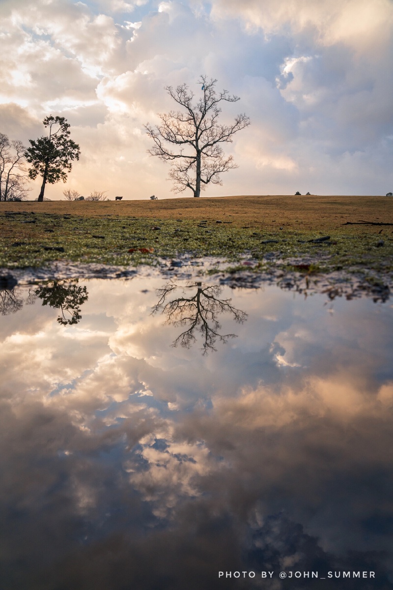 飞火野倒影20191231摄于奈良公园飞火野