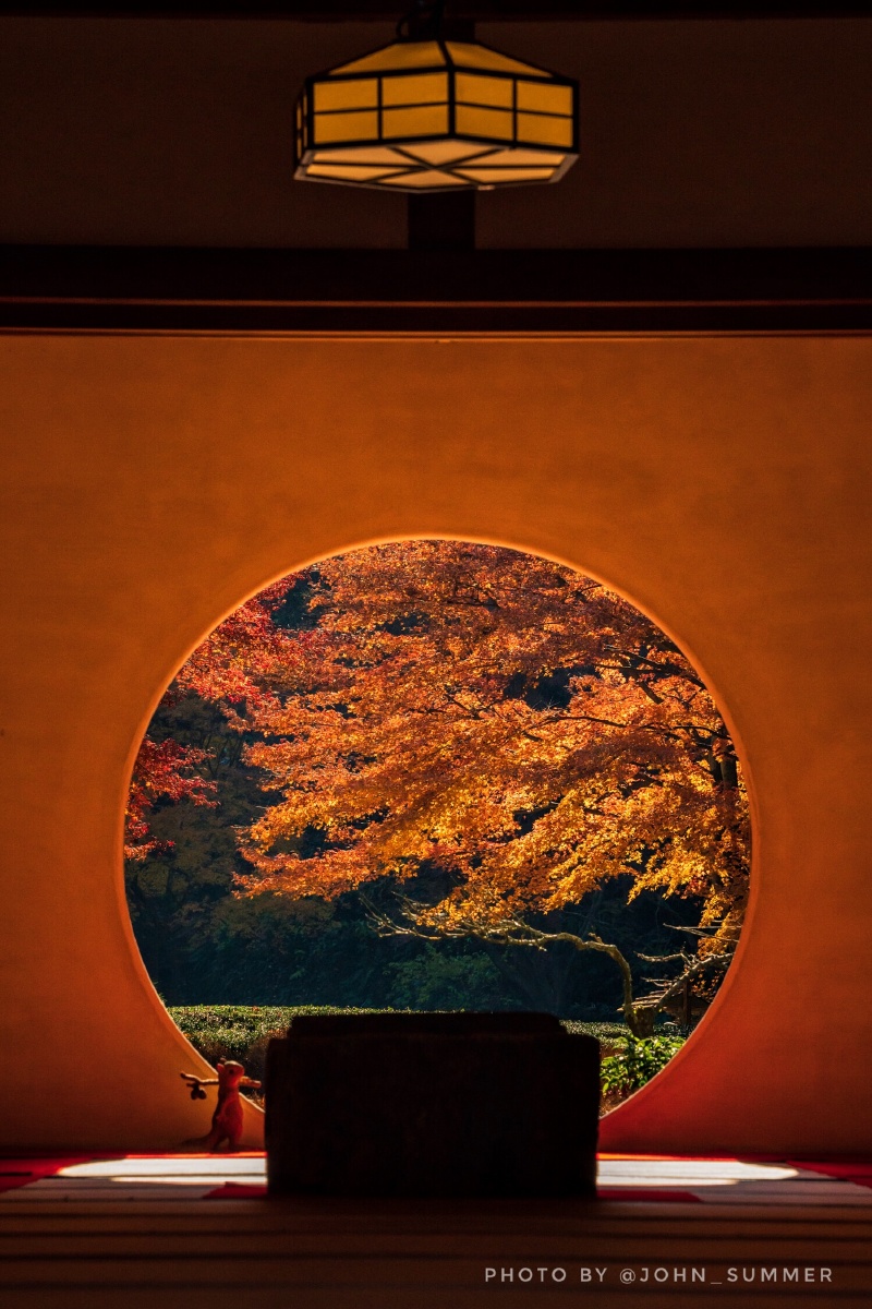 16摄于镰仓明月院) 照片中的圆窗是位于明月院的悟之窗.