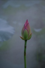 1335106