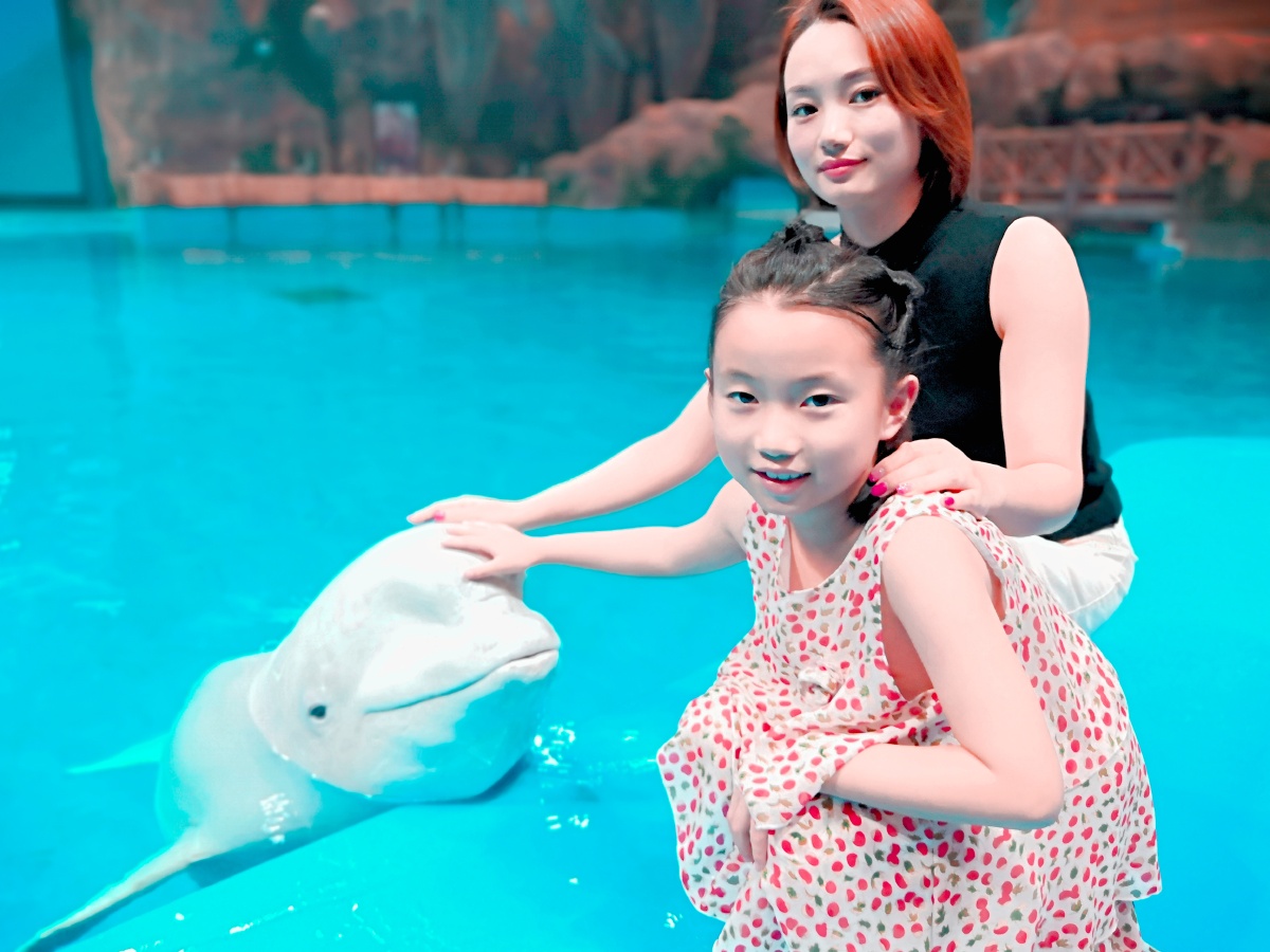 莣只是一个过客罢了