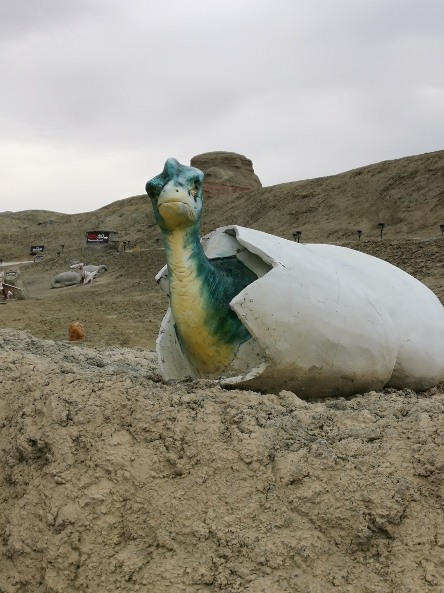 恐龙谷新疆魔鬼城内确实发现过恐龙