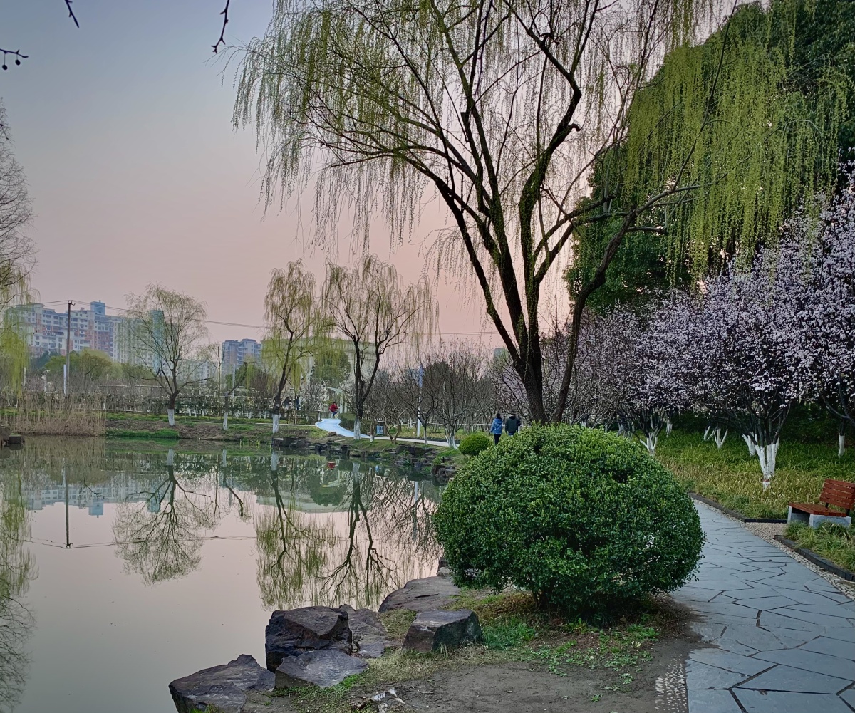 傍晚公园小河边散步